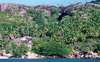 Felicite Private Island Exclusive 